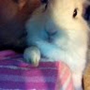 Meet your Posher, Joshelyn